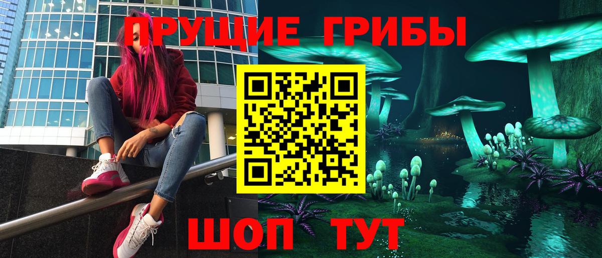 Псилоцибиновые грибы GOLDEN TEACHER  Вход с VPN  Сланцы  Псилоцибиновые грибы Magic Shrooms 